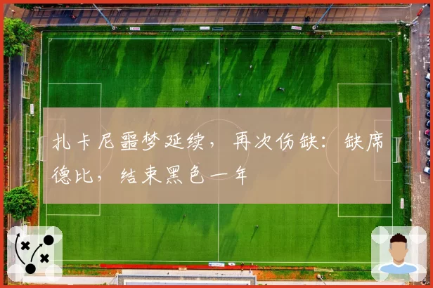 扎卡尼噩梦延续,再次伤缺:缺席德比,结束黑色一年