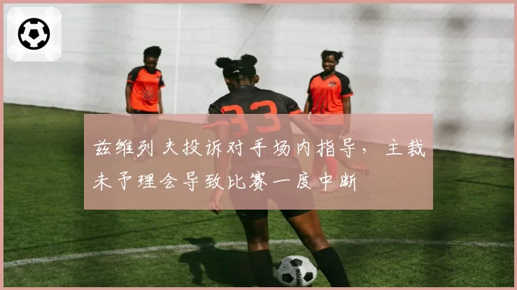 兹维列夫投诉对手场内指导，主裁未予理会导致比赛一度中断