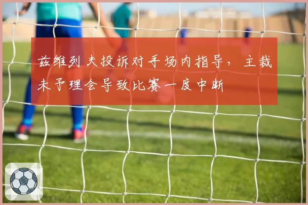 兹维列夫投诉对手场内指导，主裁未予理会导致比赛一度中断