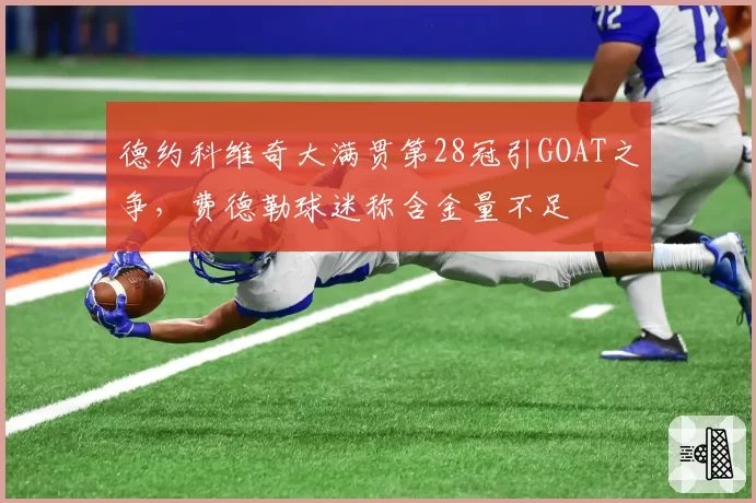 德约科维奇大满贯第28冠引GOAT之争,费德勒球迷称含金量不足