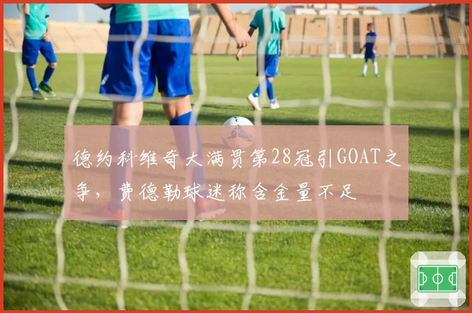 德约科维奇大满贯第28冠引GOAT之争,费德勒球迷称含金量不足