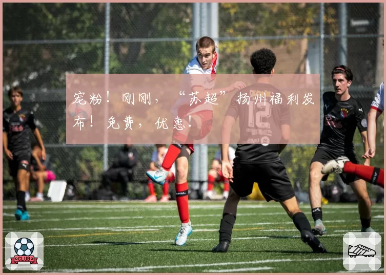 宠粉！刚刚，“苏超”扬州福利发布！免费，优惠！