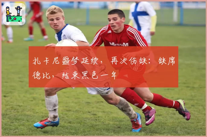 扎卡尼噩梦延续,再次伤缺:缺席德比,结束黑色一年