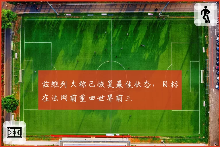 兹维列夫称已恢复最佳状态，目标在法网前重回世界前三